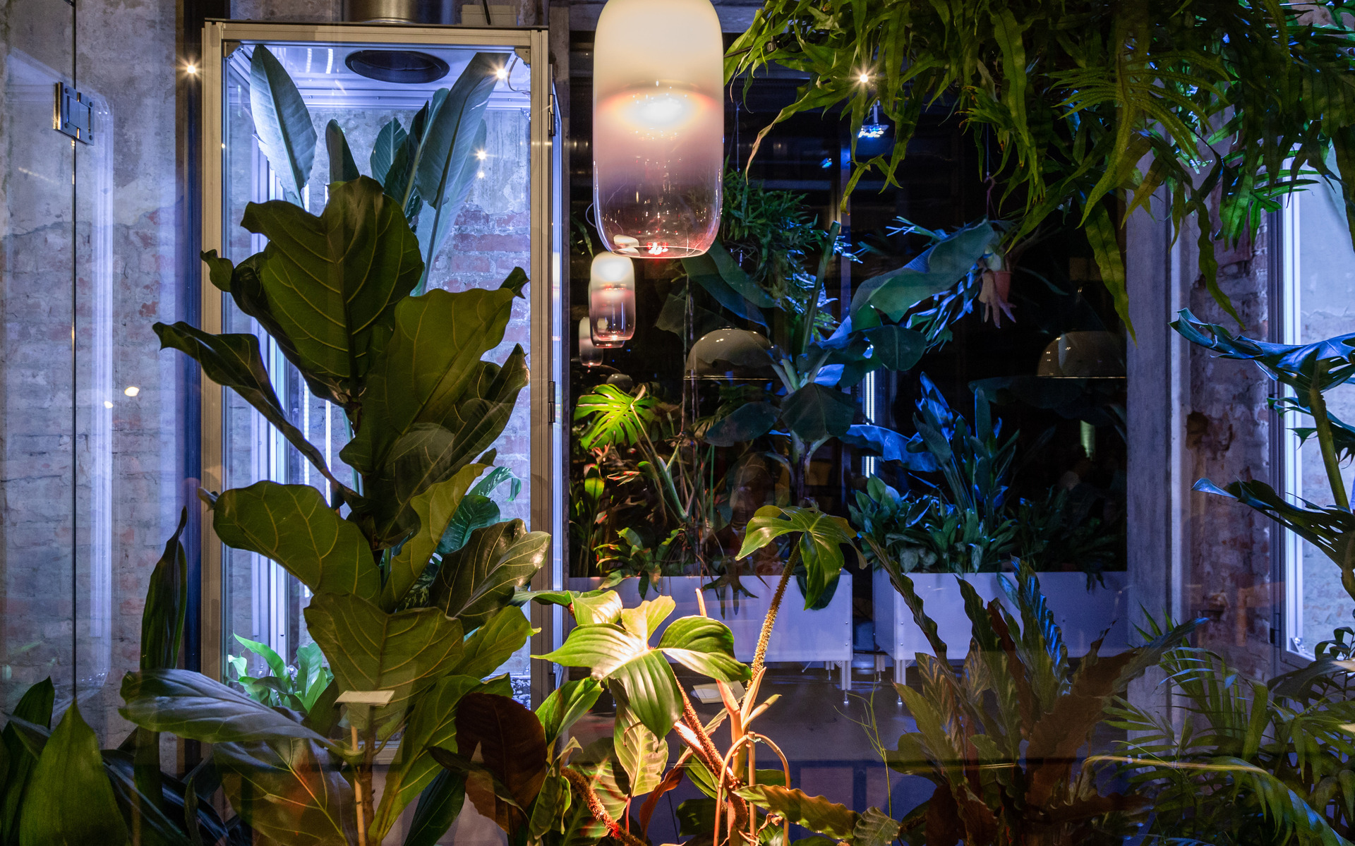 Pendant lamps with frosted glass shades hang among lush tropical plants in a dimly lit interior space.