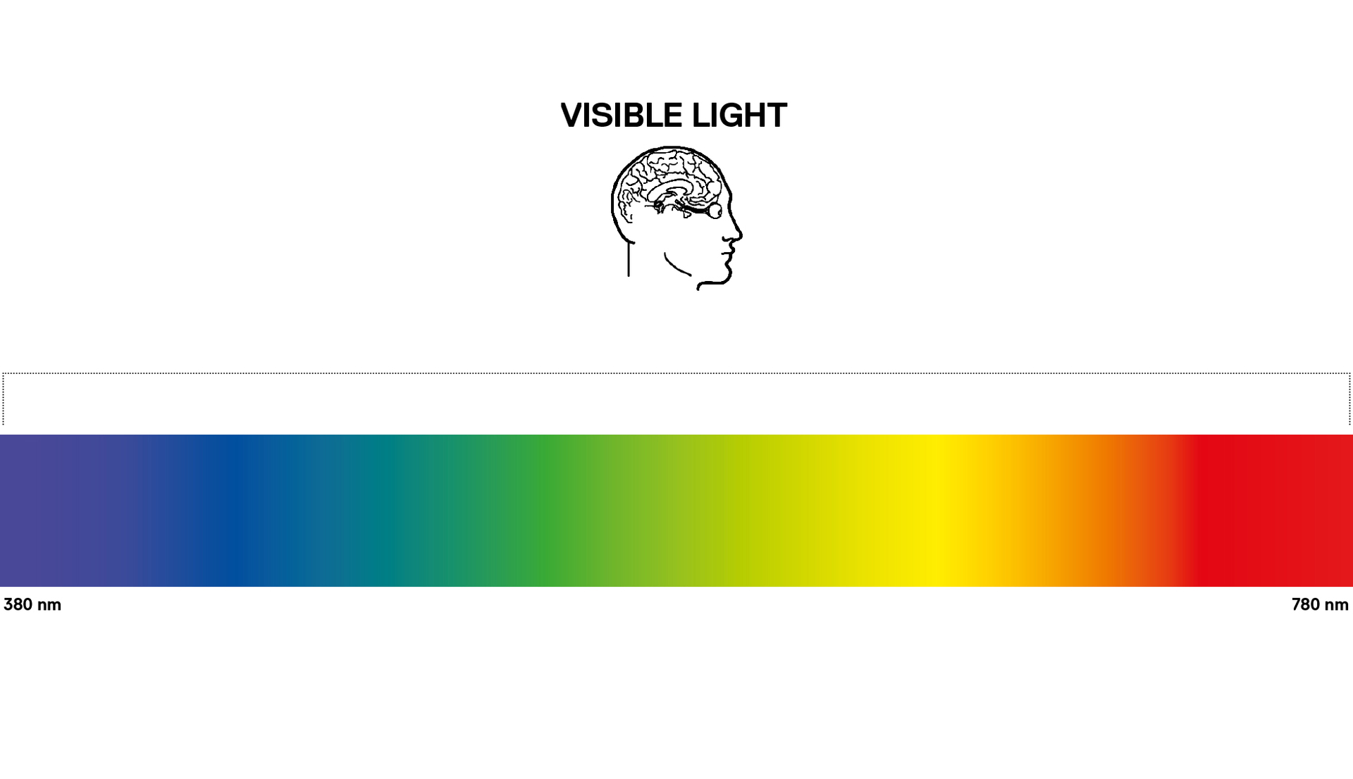Diagram of visible light spectrum ranging from 380nm violet to 780nm red, with human brain icon indicating perception.