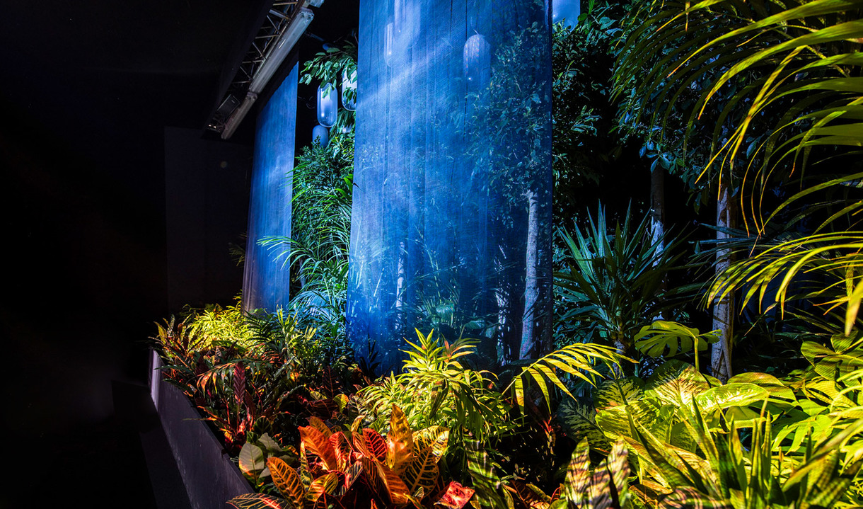 Tropical plants dramatically lit by focused spotlights against a dark background with a glowing blue forest projection.