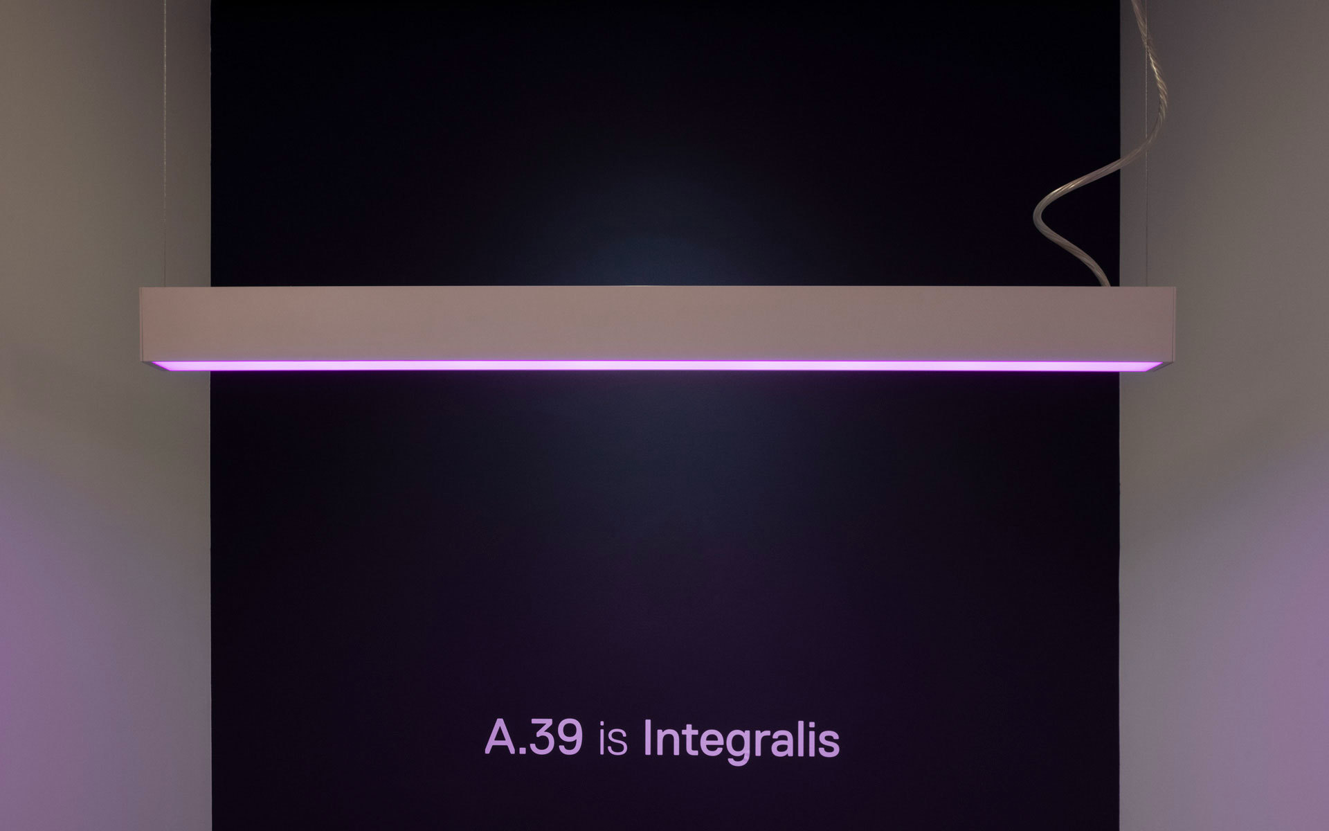 Artemide A.39 Integralis pendant lamp emitting purple light from its slim rectangular body, suspended against a dark background