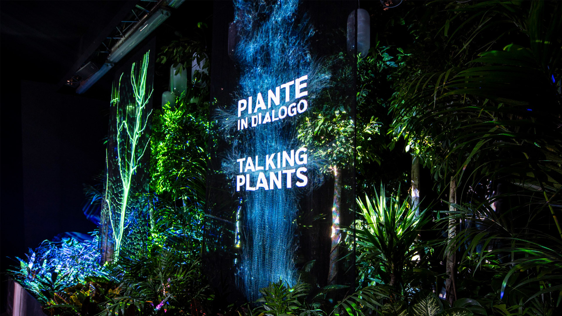 Talking Plants installation: lush tropical greenery dramatically lit in blue and teal tones with projected bilingual title text