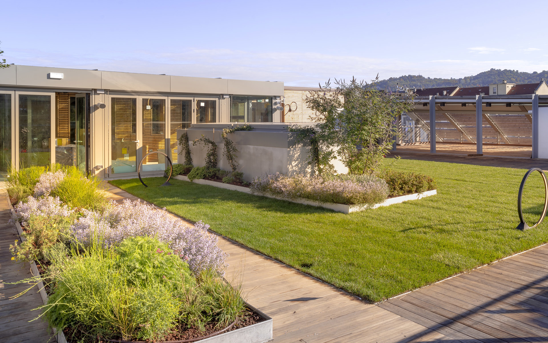 Rooftop garden with lush green lawn, flowering plants in wooden planters, and a modern building with large glass windows.