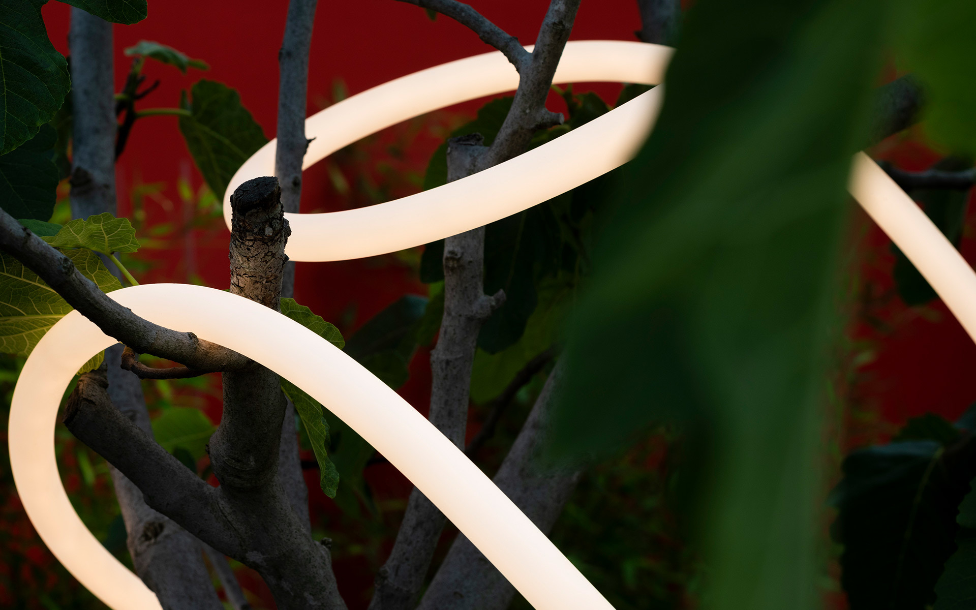 Glowing white LED flexible tube light weaving gracefully through tree branches against a red wall and green foliage