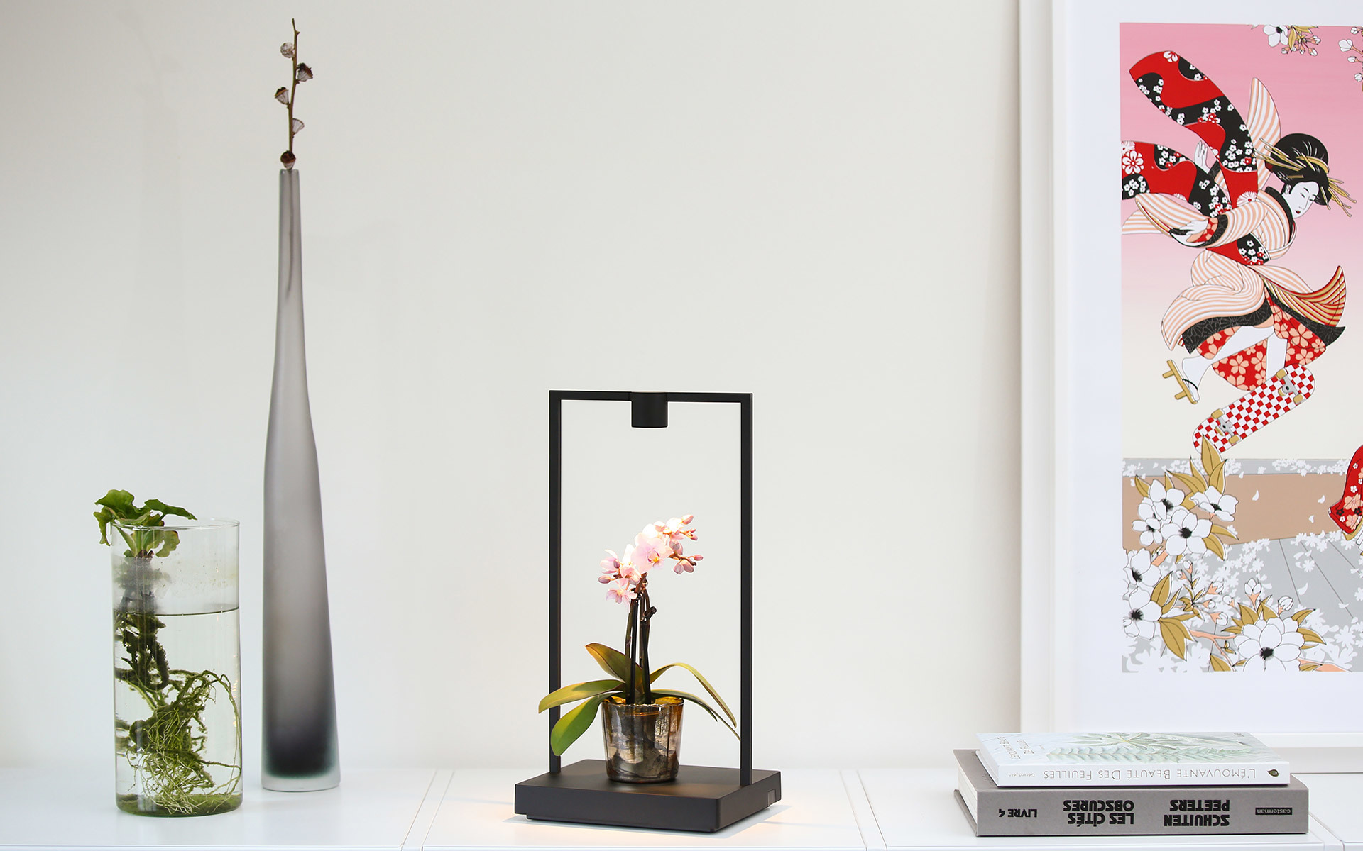 Curiosity table lamp by Artemide: black rectangular frame enclosing a small orchid plant, displayed on a white shelf with decorative objects