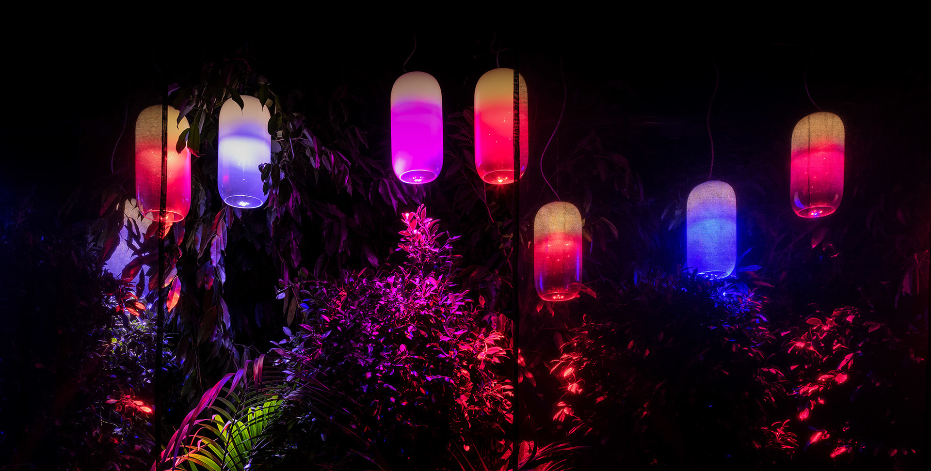 Five oval pendant lamps glowing in vibrant pink, purple, and blue hues, suspended among lush tropical foliage in a dark garden setting.