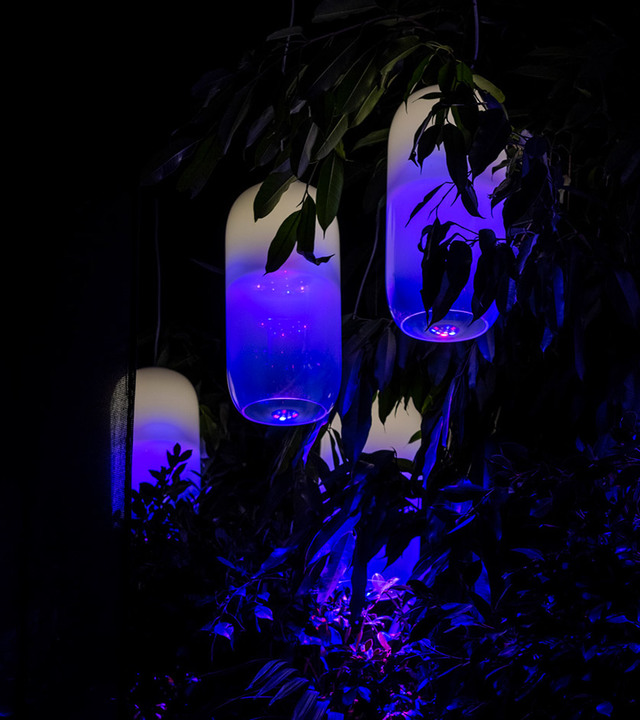 Three oval pendant lamps emitting vivid blue-purple light, hanging among dark tropical foliage in a nighttime garden setting.