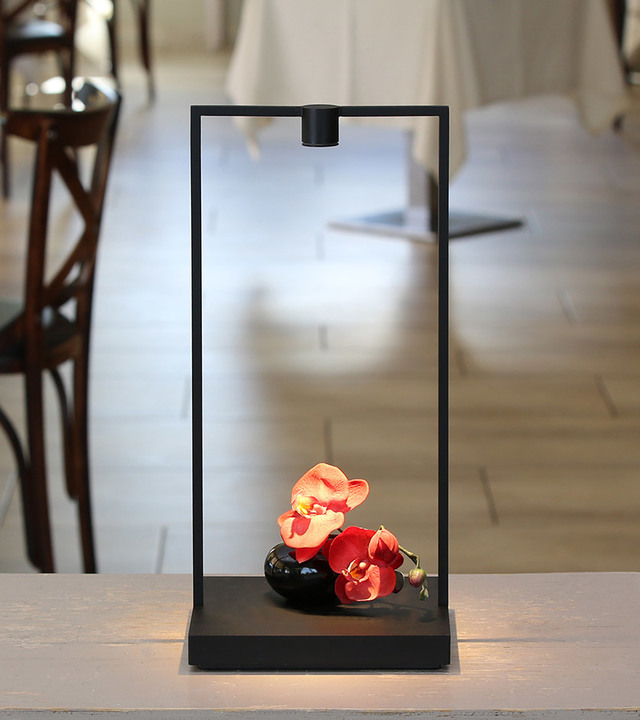 Artemide black rectangular frame table lamp with downward LED light illuminating red orchids in a dark vase on a flat base