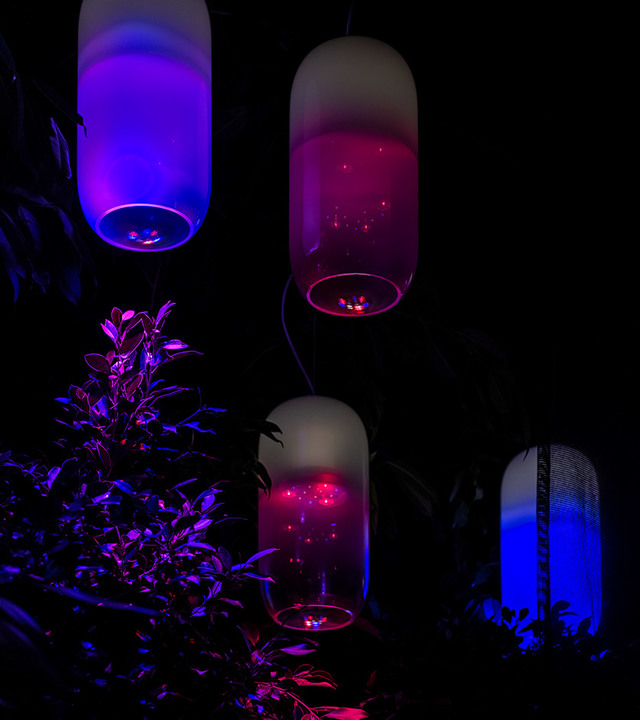 Four capsule-shaped frosted glass pendant lamps glowing in purple, blue, and red hues, suspended outdoors at night among dark foliage.