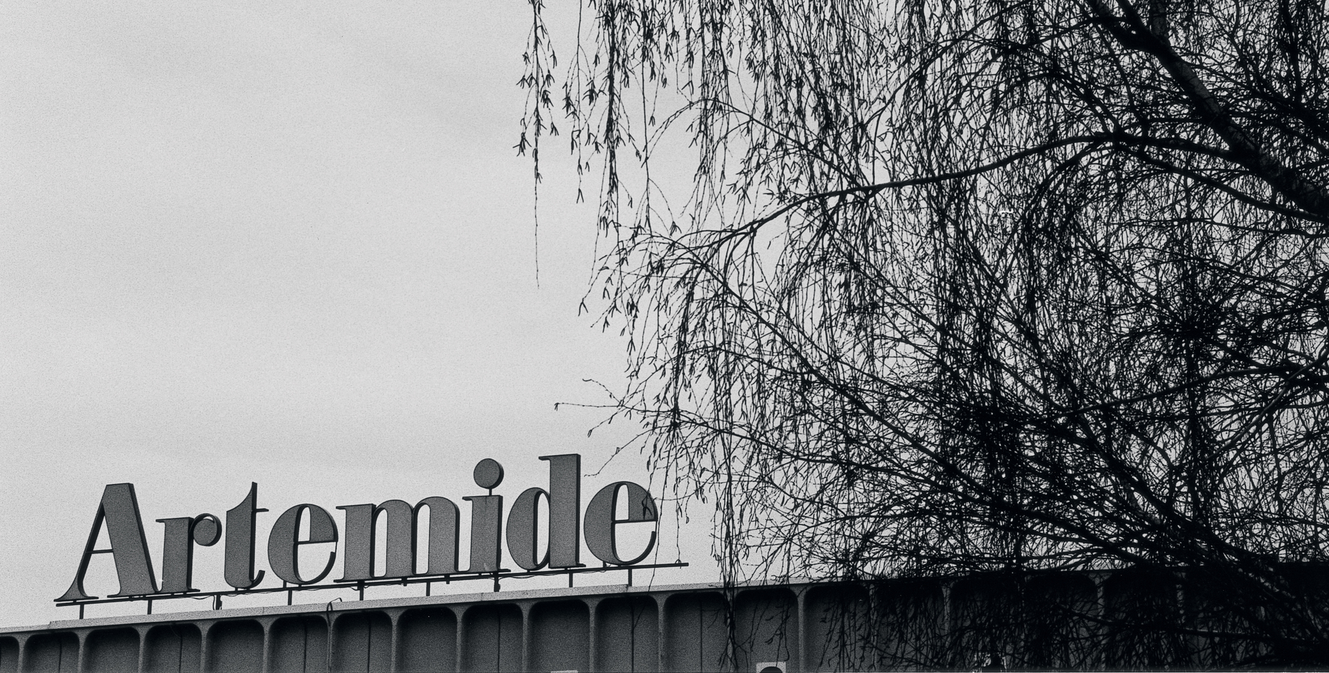 qelvornixuta.onlinepany sign mounted on top of a building facade, with bare tree branches visible against an overcast sky.