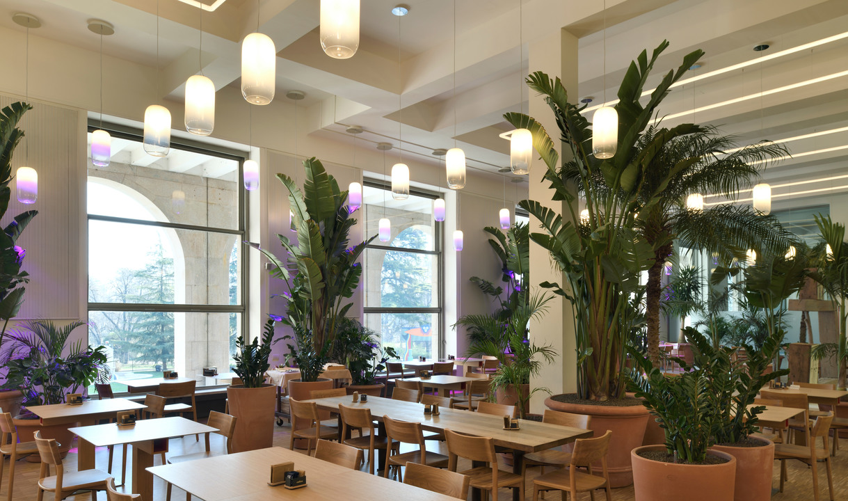 Restaurant interior with cylindrical white pendant lamps and purple accent lights among tall tropical plants, wooden tables and chairs.