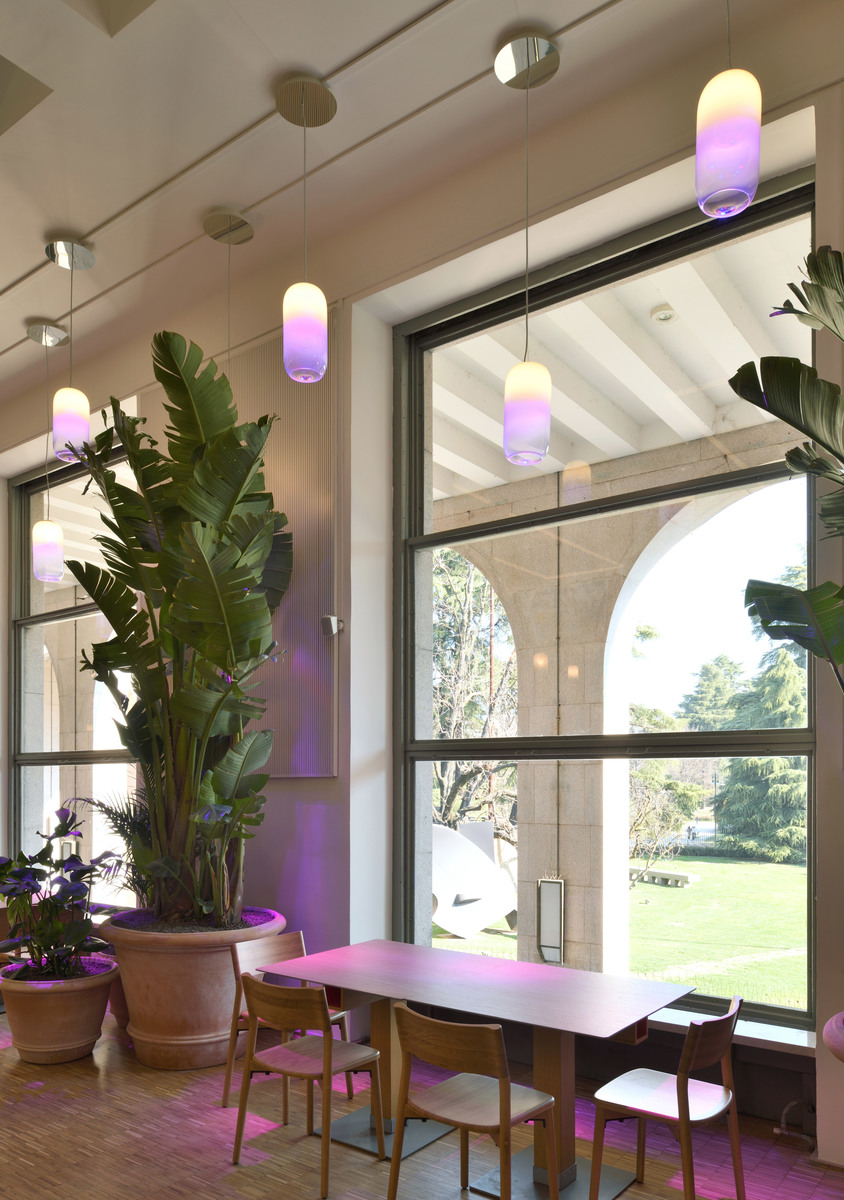 Dining area with pendant lamps emitting purple-white gradient light, suspended from ceiling near large windows with tropical plants.