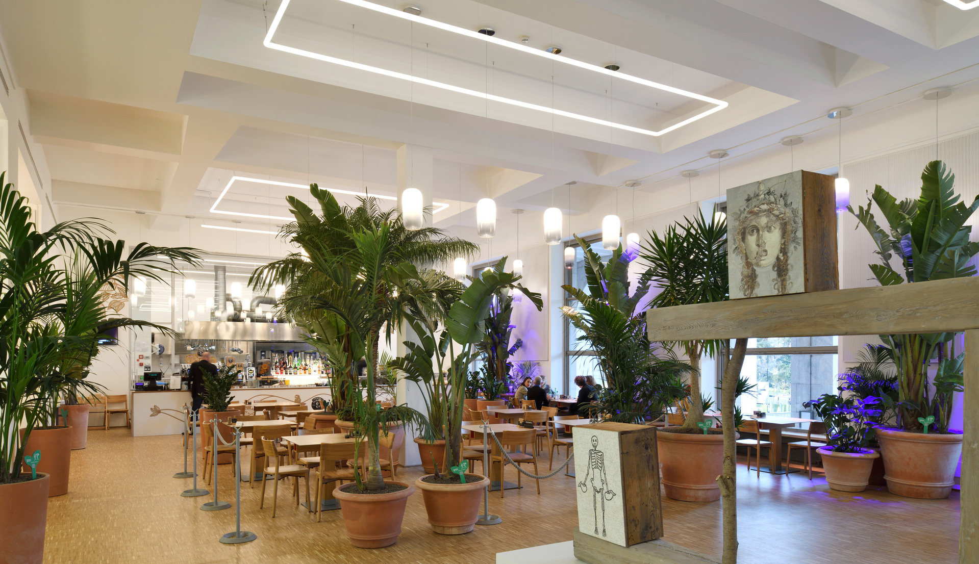Bright restaurant interior with Artemide recessed and pendant lights illuminating lush tropical plants, wooden furniture, and white ceilings.