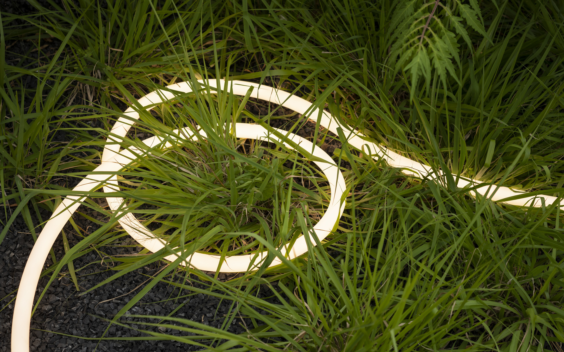 Artemide flexible LED light strip coiled among green grass, emitting warm white light, creating a decorative outdoor ground installation