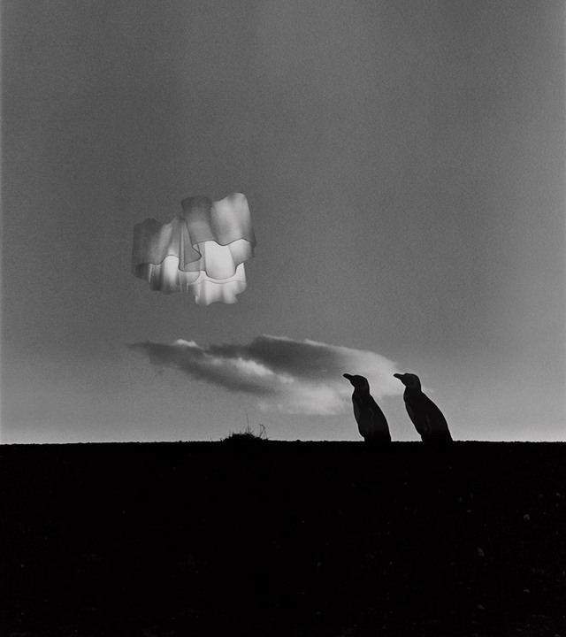 Artemide pendant lamp with organic white diffuser floating above two bird silhouettes on a dark horizon, surreal black-and-white scene