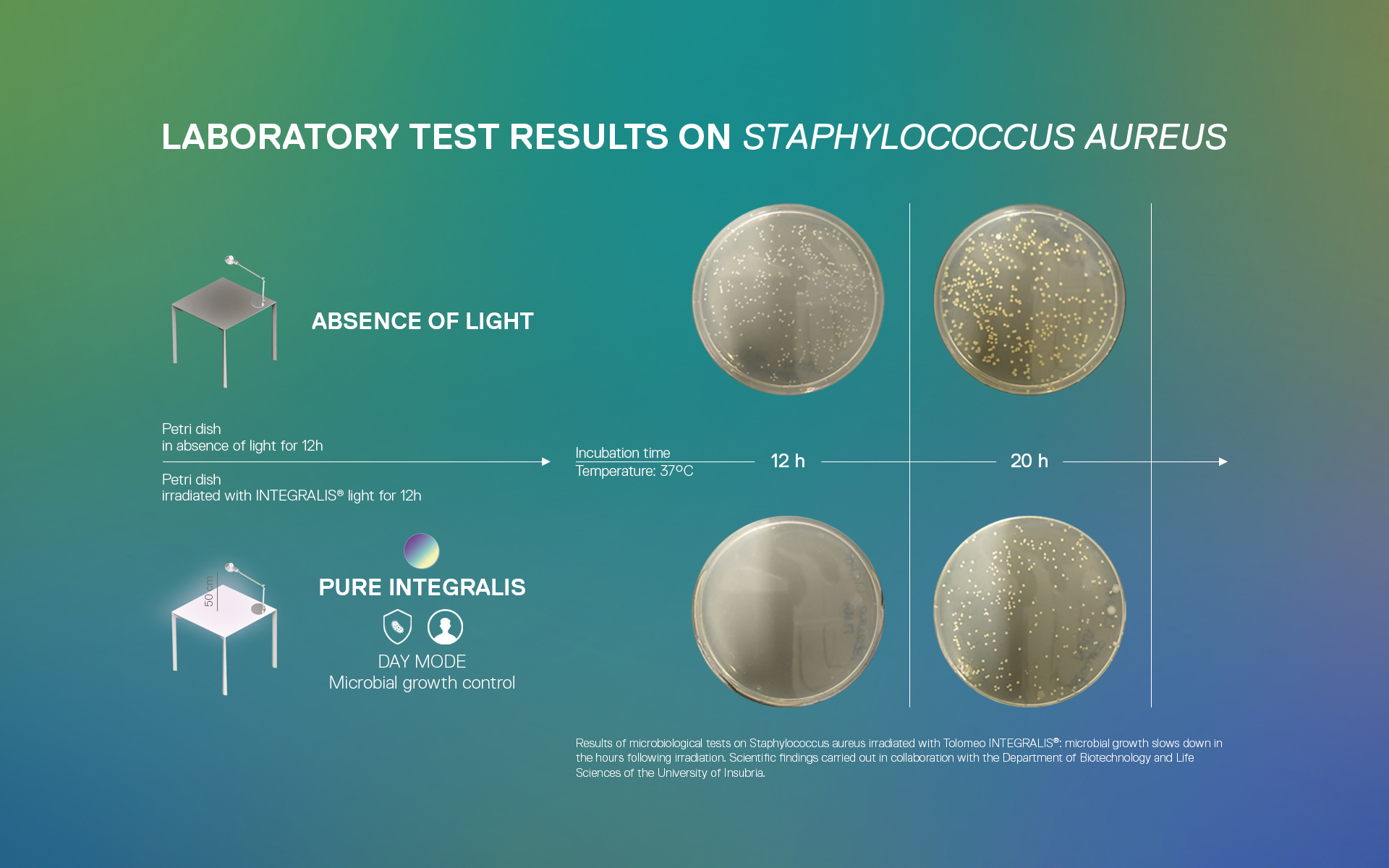 Lab test on Staphylococcus aureus: Artemide INTEGRALIS DAY MODE reduces bacterial growth vs. no light after 12h and 20h incubation at 37°C.