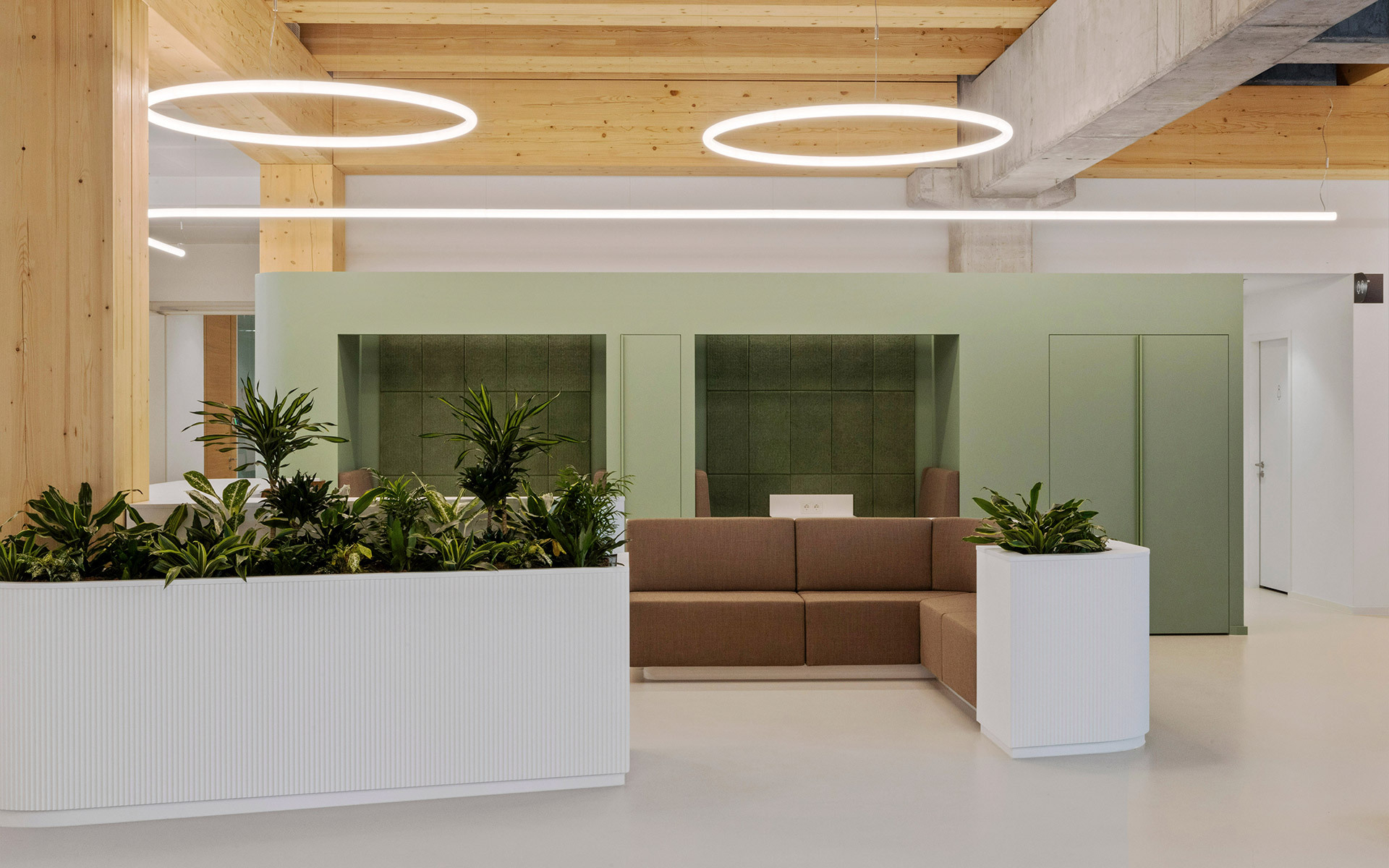 Modern office reception with Artemide circular pendant lights and linear ceiling fixtures illuminating green partitions and plants.