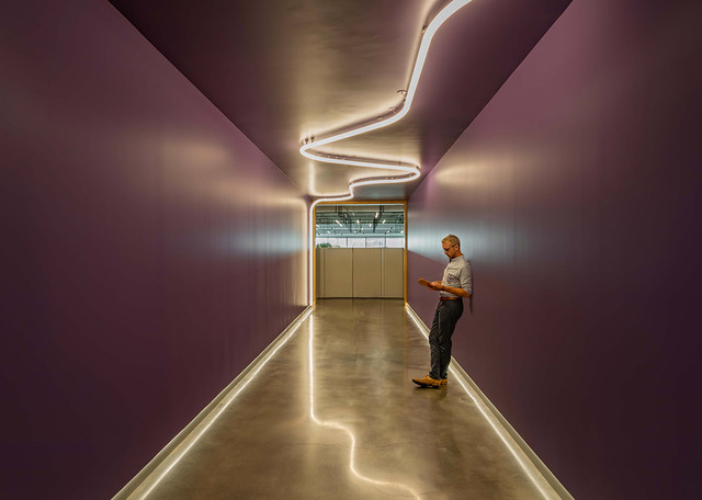 A person stands in a purple corridor with sinuous LED strip lighting on ceiling and floor, creating a dynamic, immersive spatial experience.