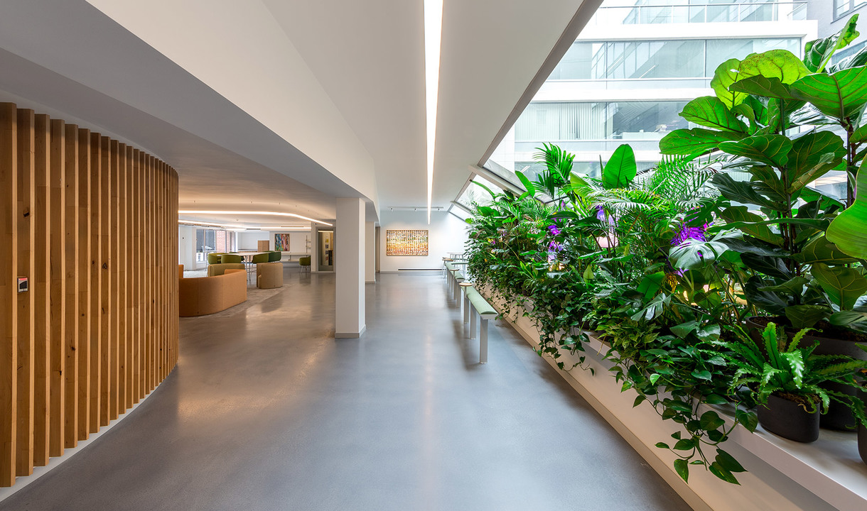 Modern office corridor with recessed linear lighting, lush green plants along glass railing, wooden slat wall, and reception area in background.
