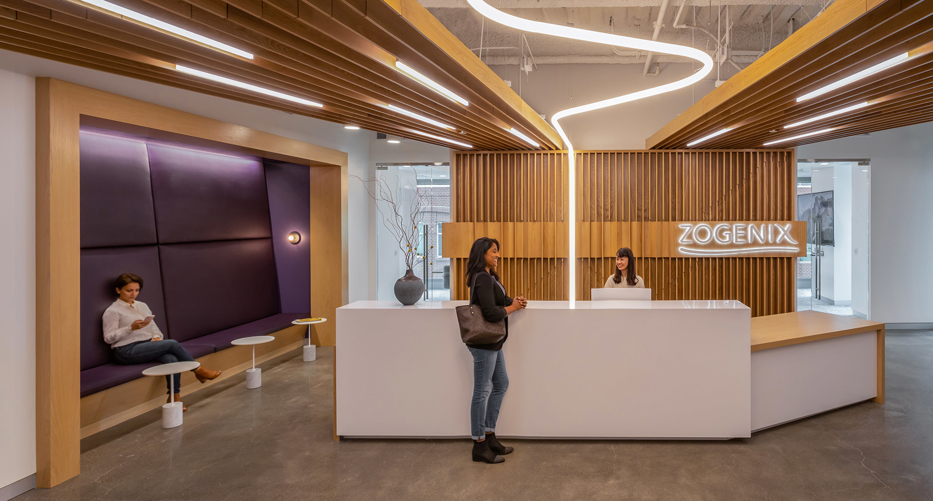 Zogenix office reception with Artemide curved LED ceiling lights, wood-paneled walls, white desk, and purple seating alcove.