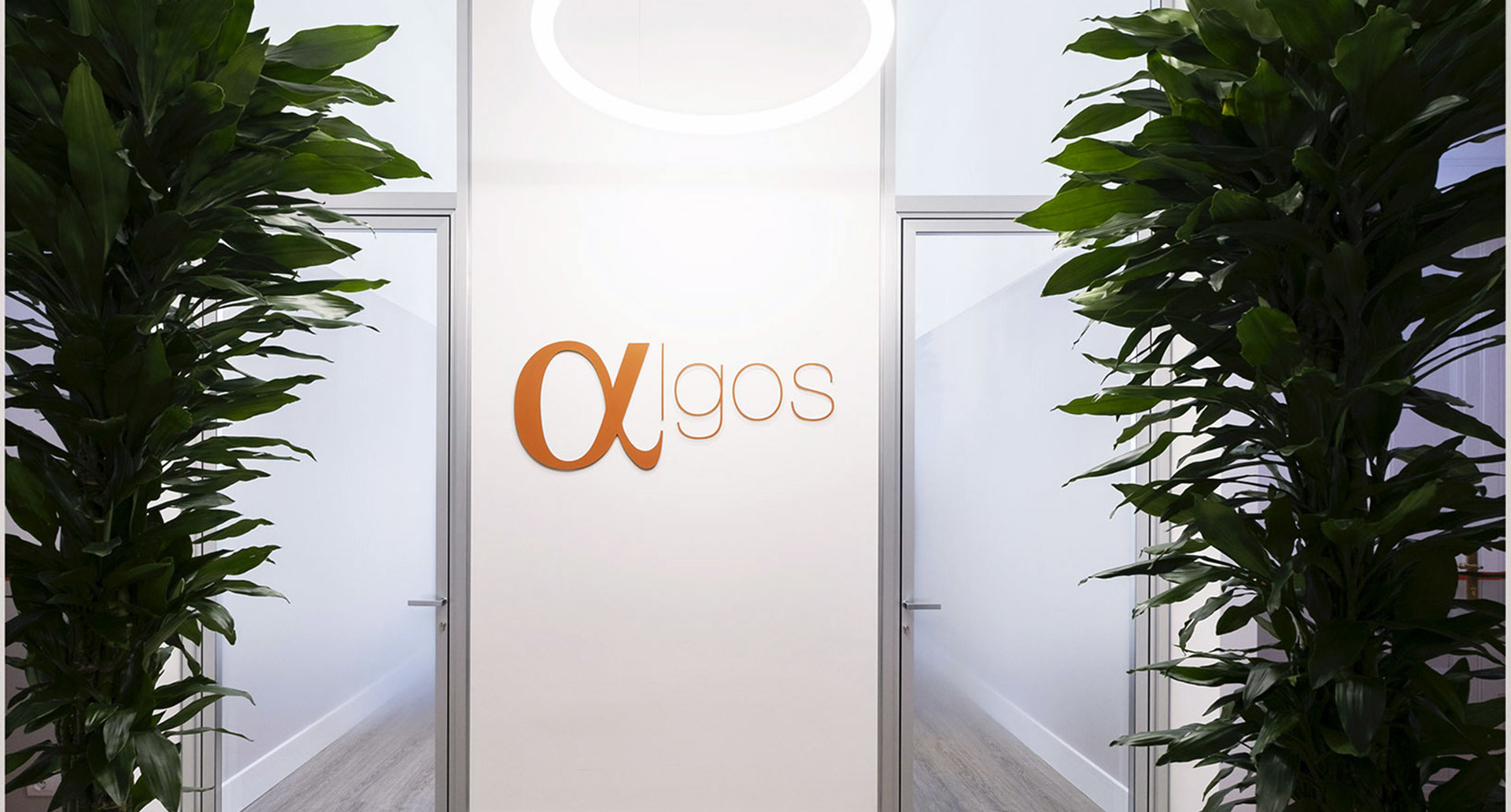Algos office entrance with circular ceiling light, white walls, and lush green plants framing a frosted glass door