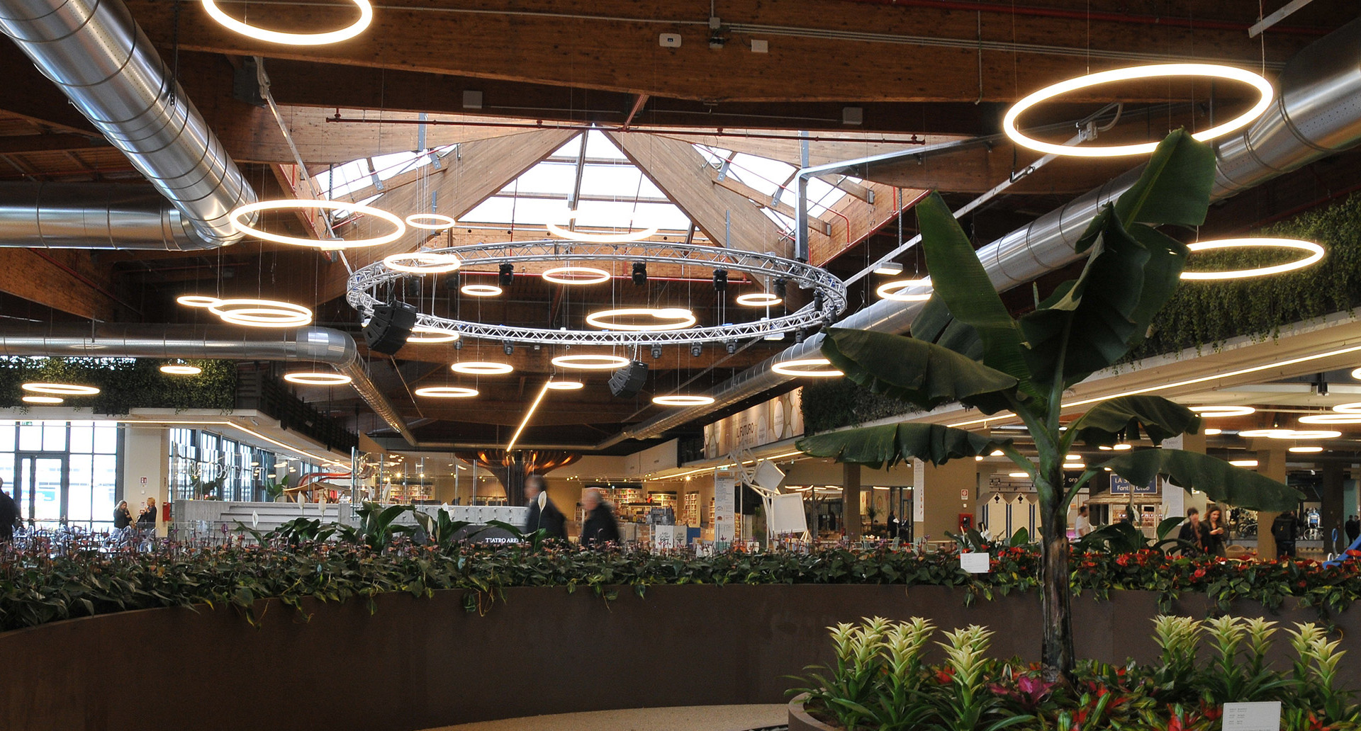Large commercial interior with multiple Artemide circular LED pendant rings suspended from wooden ceiling, above lush tropical plants.