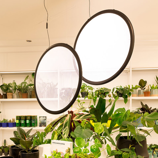 Two large circular LED pendant lights with black frames suspended over a lush indoor plant display in a bright retail space.