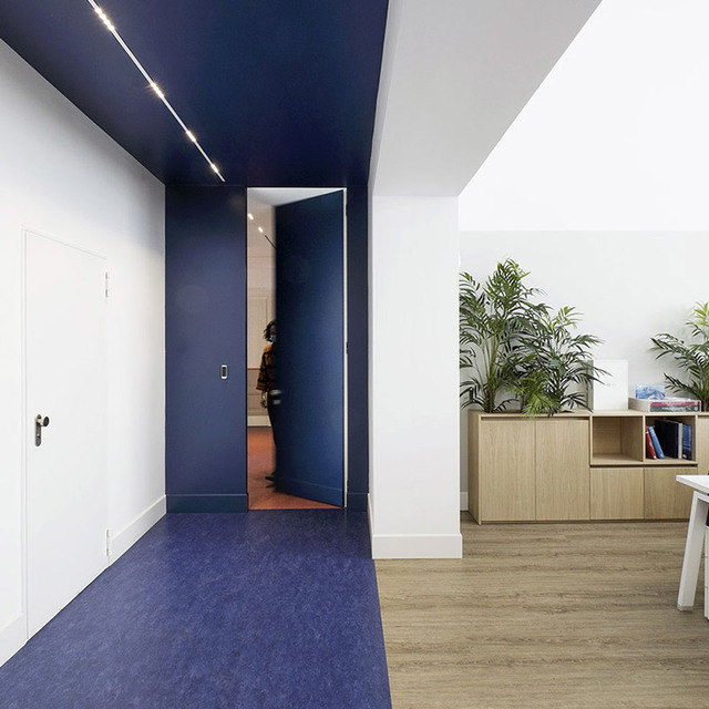 Office corridor with dark blue ceiling featuring recessed linear LED lighting, blue carpet, white walls, and open workspace with wooden storage unit.