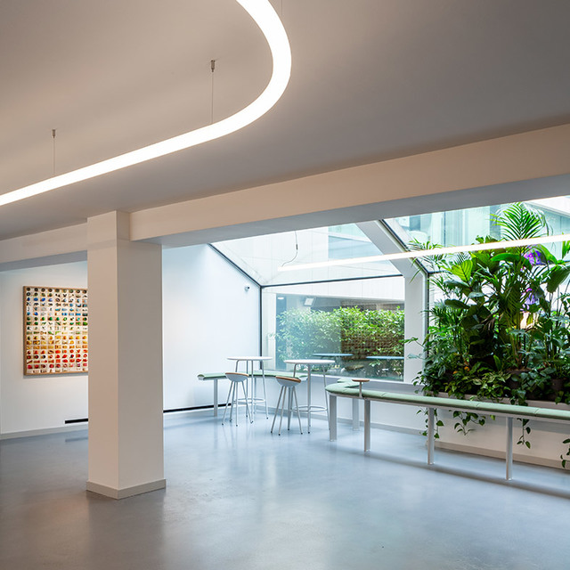 Modern interior with curved LED ceiling light strip illuminating a bright open space with plants, bar tables, and artwork.