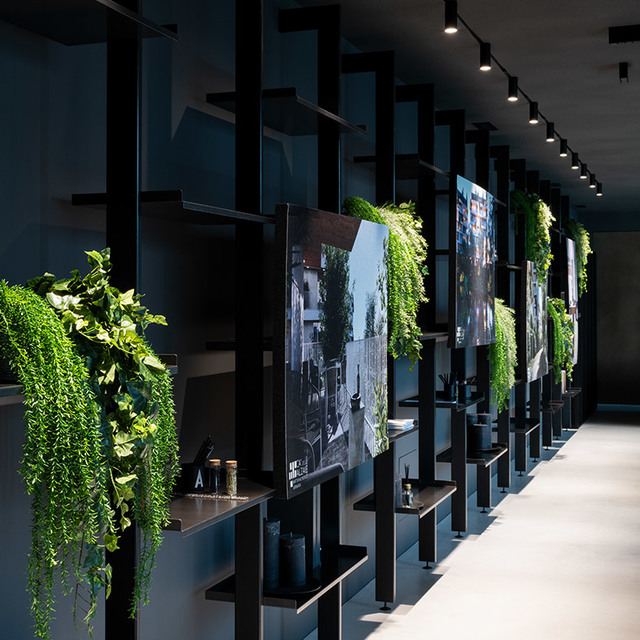 Showroom corridor with black shelving units, cascading green plants, framed photos, and track spotlights illuminating the space.