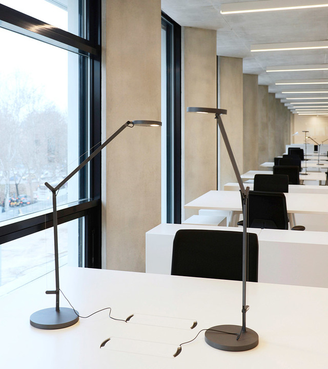 Two dark grey Artemide adjustable task lamps on white desks in a modern open-plan office with large windows.