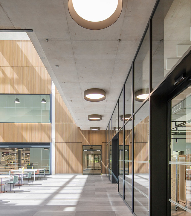 Modern corridor with exposed concrete ceiling featuring round dark-rimmed ceiling lights and a circular skylight, flanked by wood-paneled walls and glass partitions.