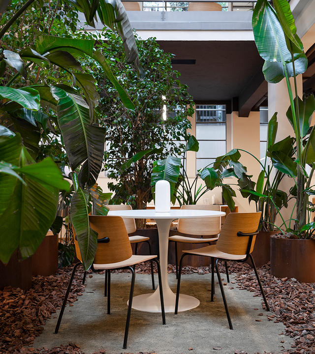White cylindrical portable lamp on a round table surrounded by wooden chairs and lush tropical plants in an indoor garden setting