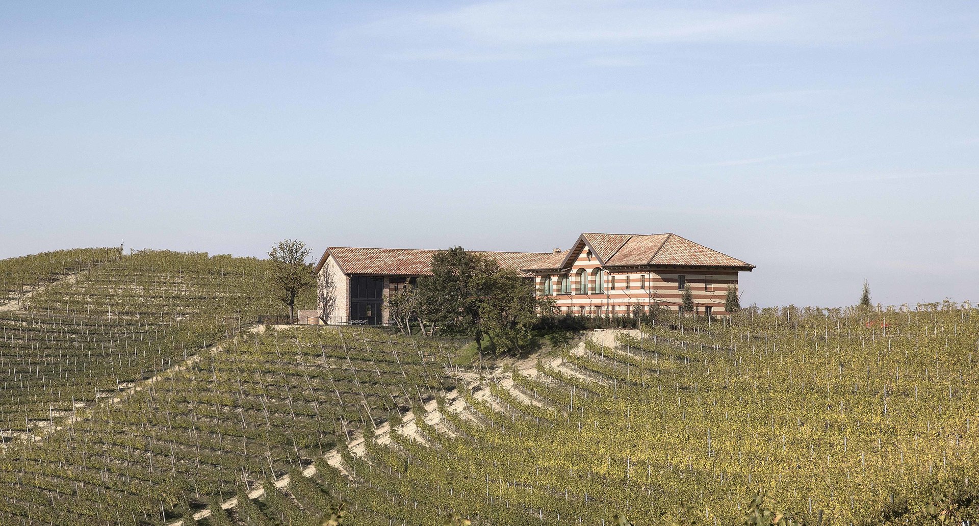 Vineyard landscape with rows of grapevines on rolling hills surrounding a traditional stone farmhouse under a clear sky