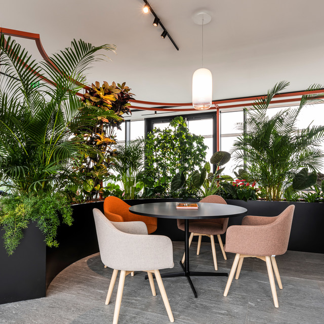 Meeting area surrounded by lush plants, round black table with upholstered chairs, Artemide pendant lamp and track spotlights above