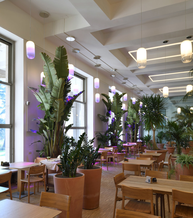 Restaurant interior with tropical plants, wooden furniture, and Artemide capsule-shaped pendant lights emitting warm white and purple hues