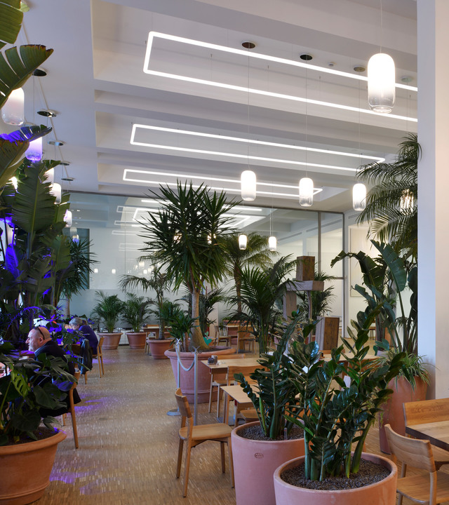 Modern restaurant interior with lush tropical plants, recessed linear LED ceiling lights, and white cylindrical pendant lamps over dining tables