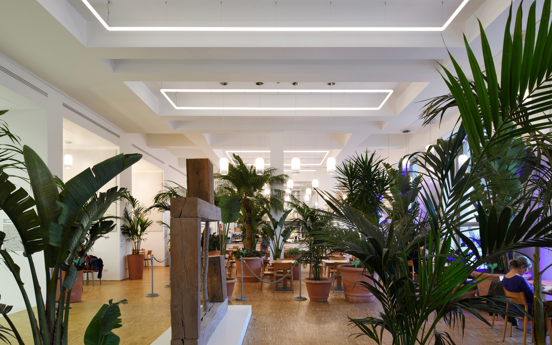Bright lobby with rectangular LED ceiling light strips illuminating a space filled with tropical potted plants and seating areas.