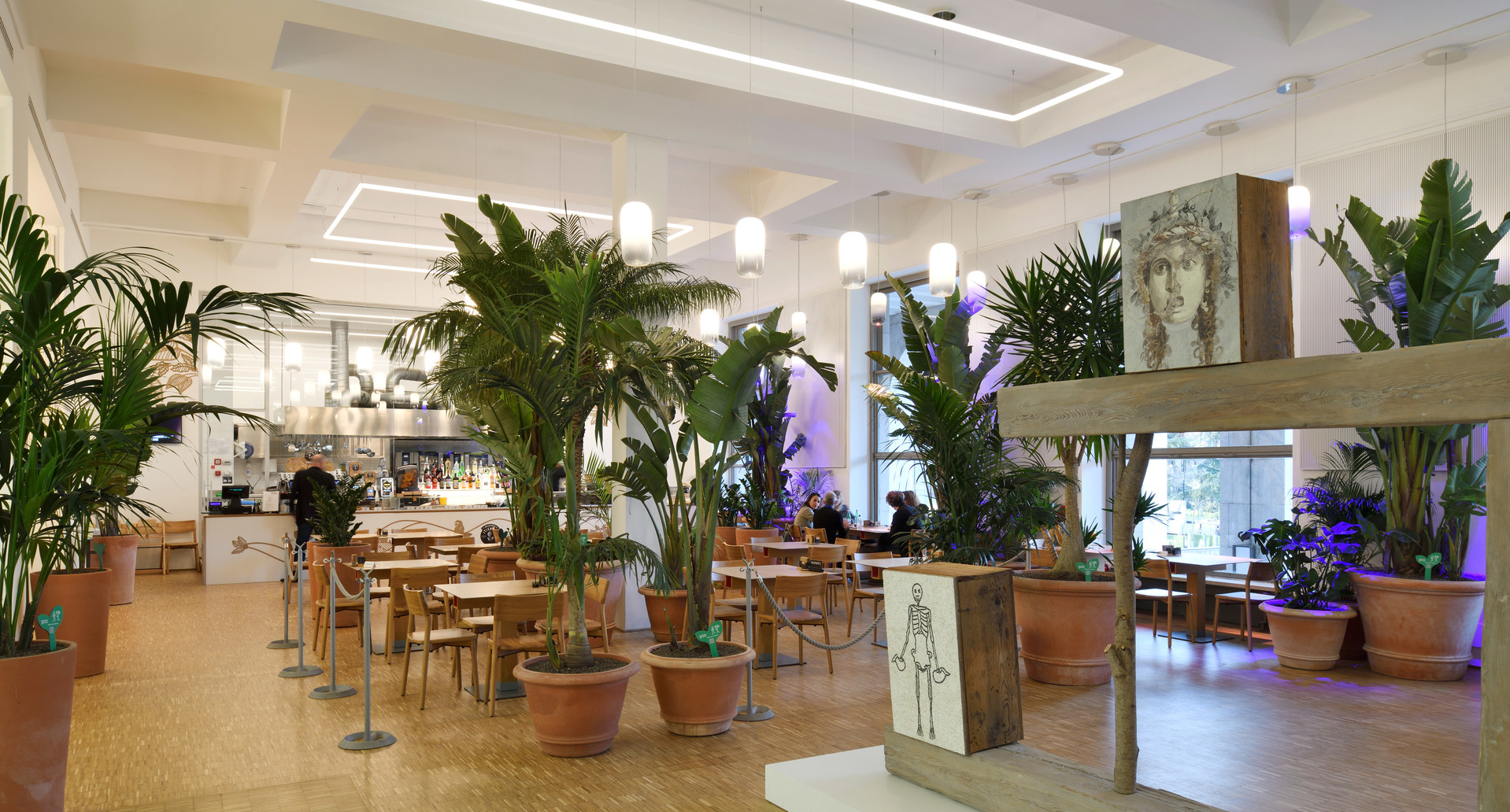 Bright restaurant interior with pendant cylinder lights, lush tropical plants in terracotta pots, wooden tables, and purple accent lighting