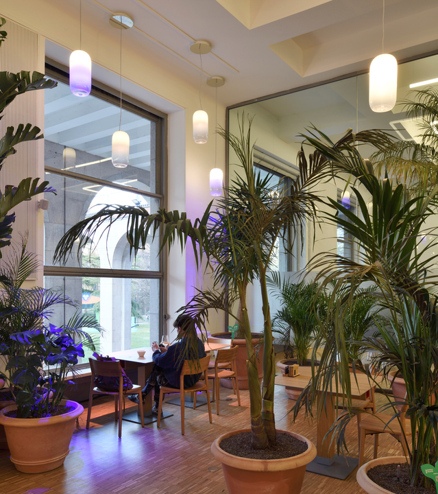 Café interior with tall tropical plants and Artemide cylindrical pendant lamps emitting warm white and purple light.