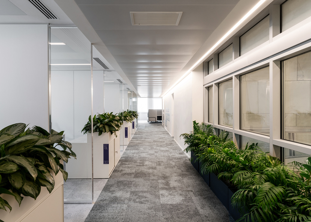 Modern office corridor with Artemide recessed linear ceiling lights, glass partitions, lush green plants, and large windows.