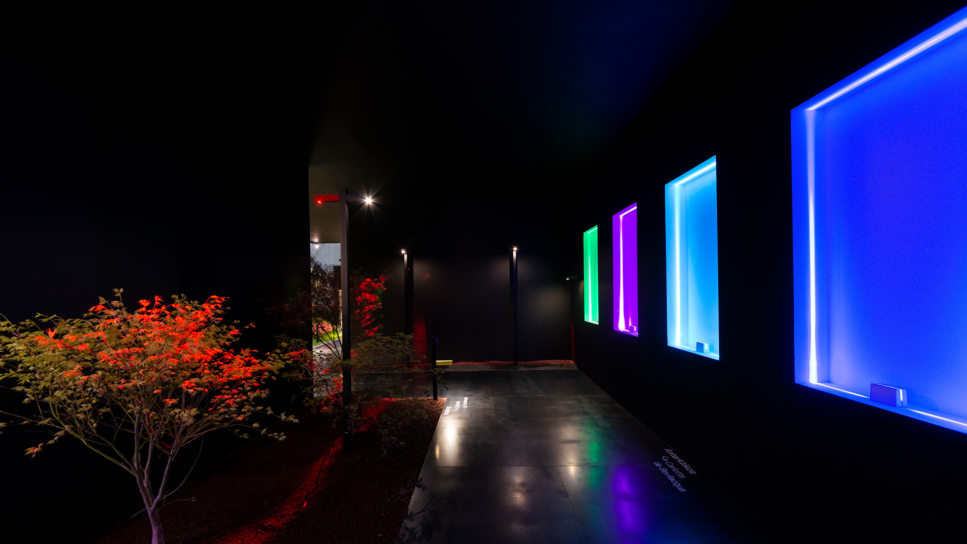 Outdoor corridor at night with Antarktikós wall fixtures emitting vivid blue, cyan, green, and purple light, illuminating a dark pathway with a red-leafed tree.