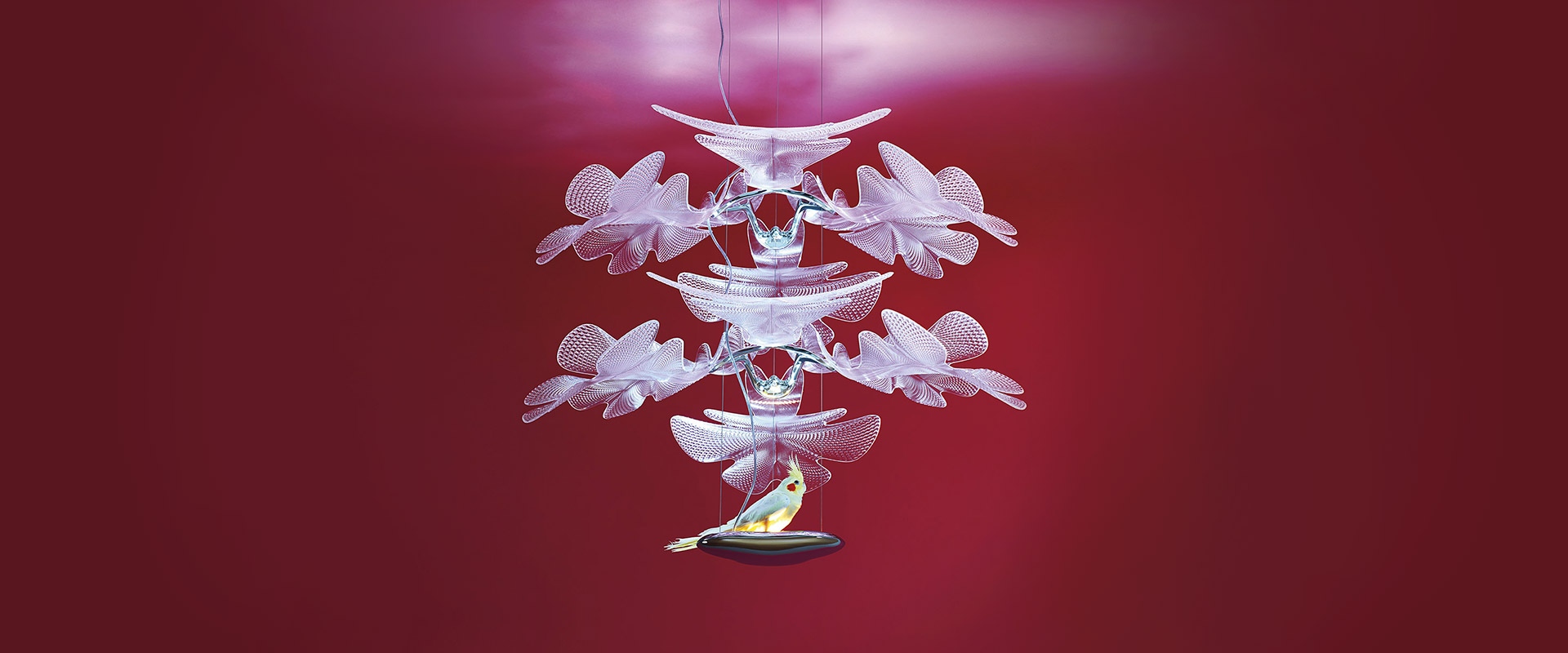 Two Artemide ceiling lamps: Chlorophilia with leaf-shaped diffusers, and Chlorophilia 2 with intricate translucent mesh petals