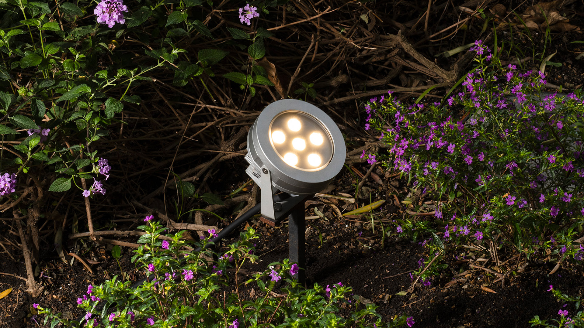 Artemide Ego Spot outdoor LED spotlight on ground spike, warm white light, silver housing, placed among purple flowering plants at night