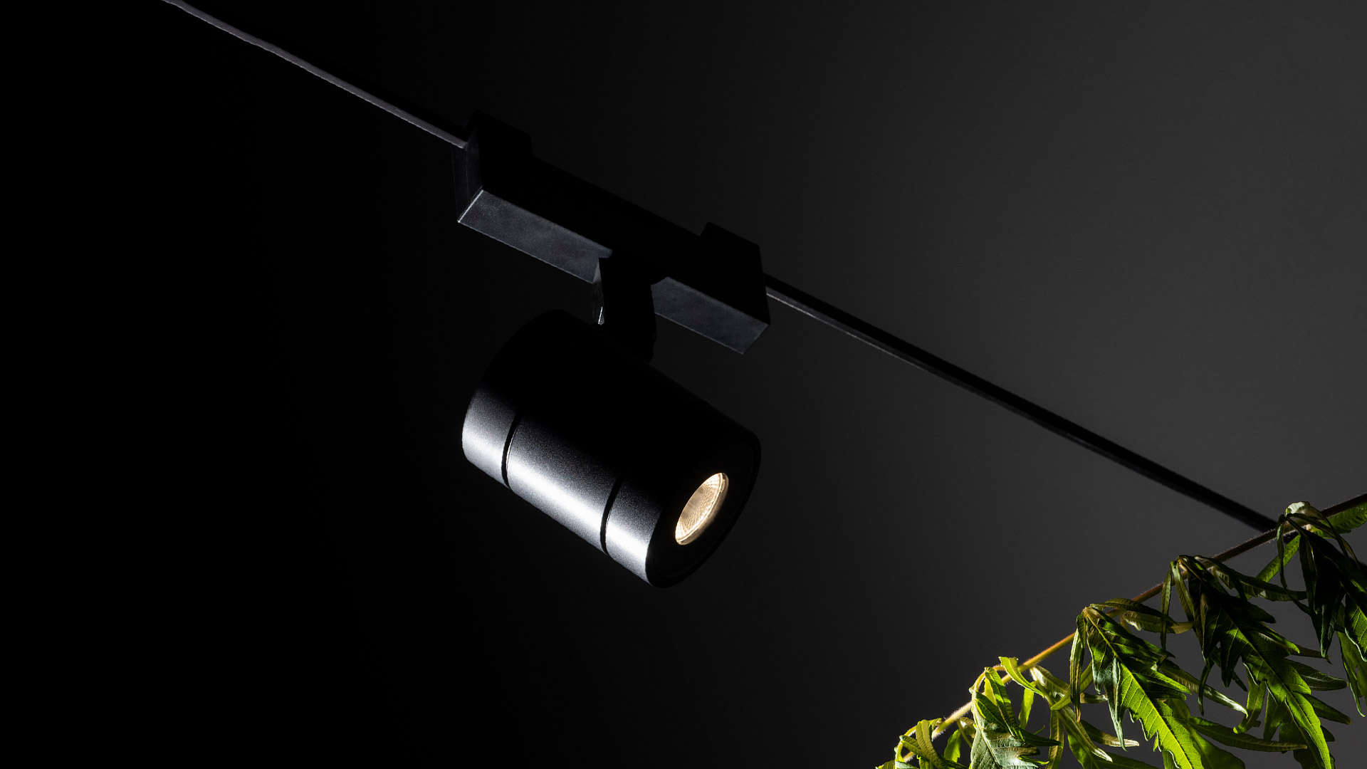 Artemide Funivia Outdoor: glowing white LED flexible tube forming a wave shape, suspended by cables against a dark wall with plants