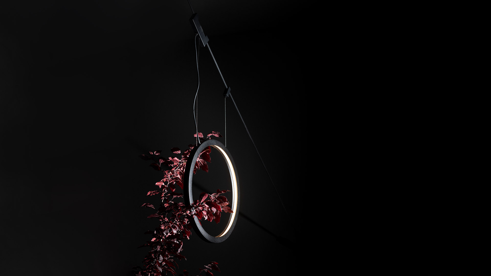 Artemide Funivia Outdoor: glowing white flexible LED tube forming a curved loop, suspended from a black cable rail against a dark background with foliage