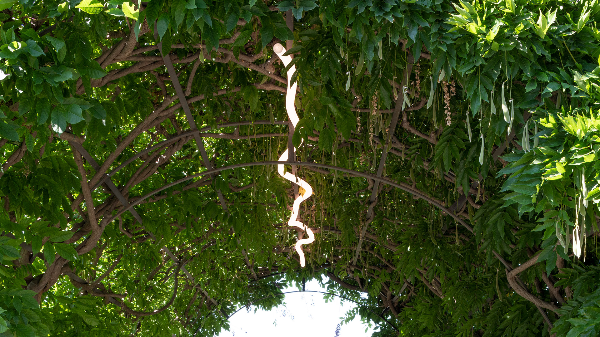 Artemide La Linea pendant lamp: sinuous white LED tube forming an elegant S-shaped curve, suspended from ceiling