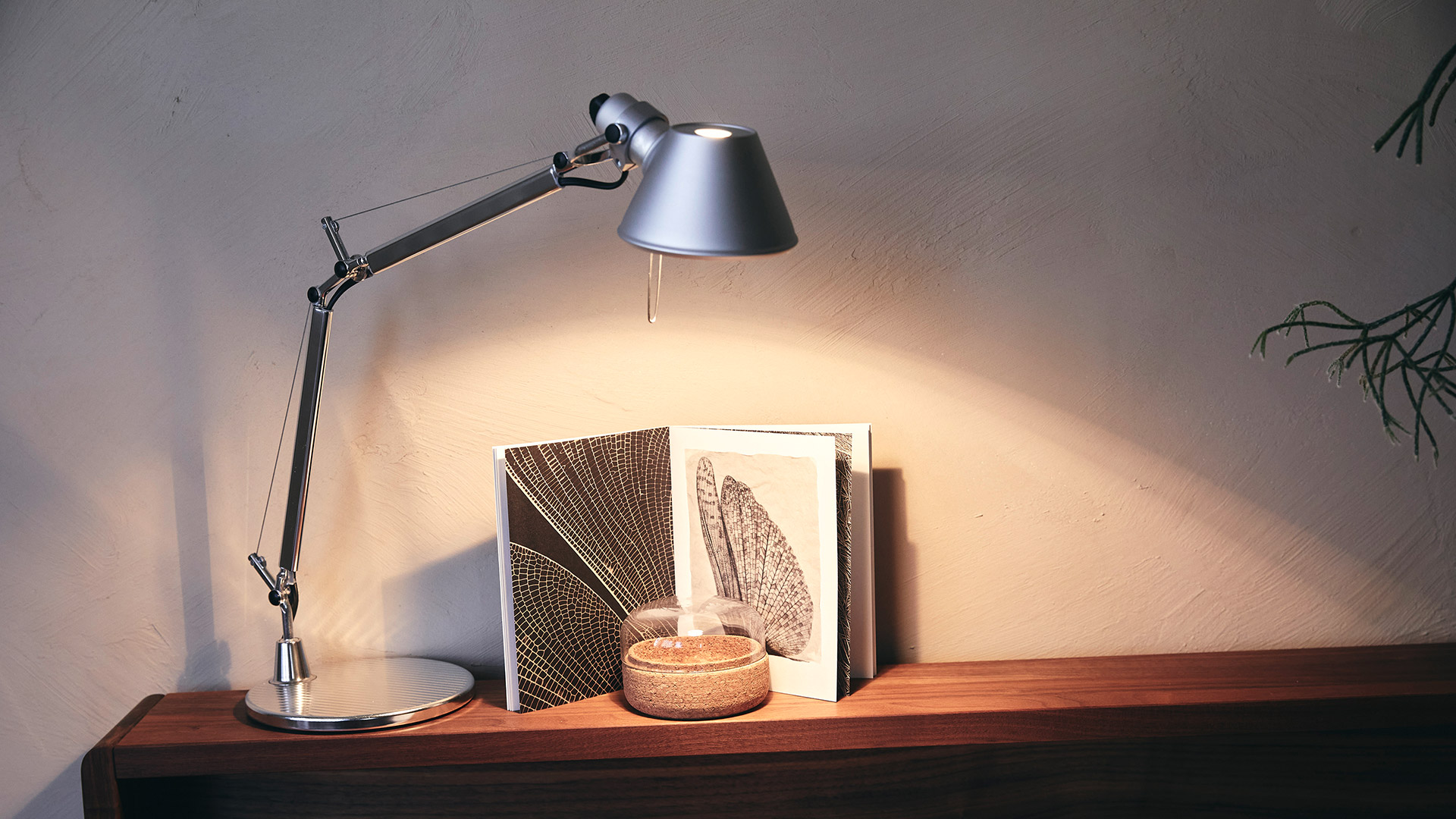 Artemide Tolomeo Tavolo desk lamp in aluminium illuminating an open book and decorative objects on a wooden shelf
